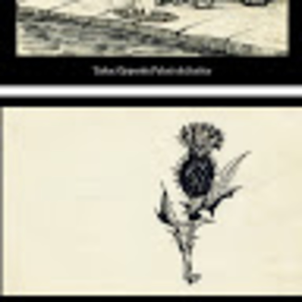 Meet your Posher, Lesley